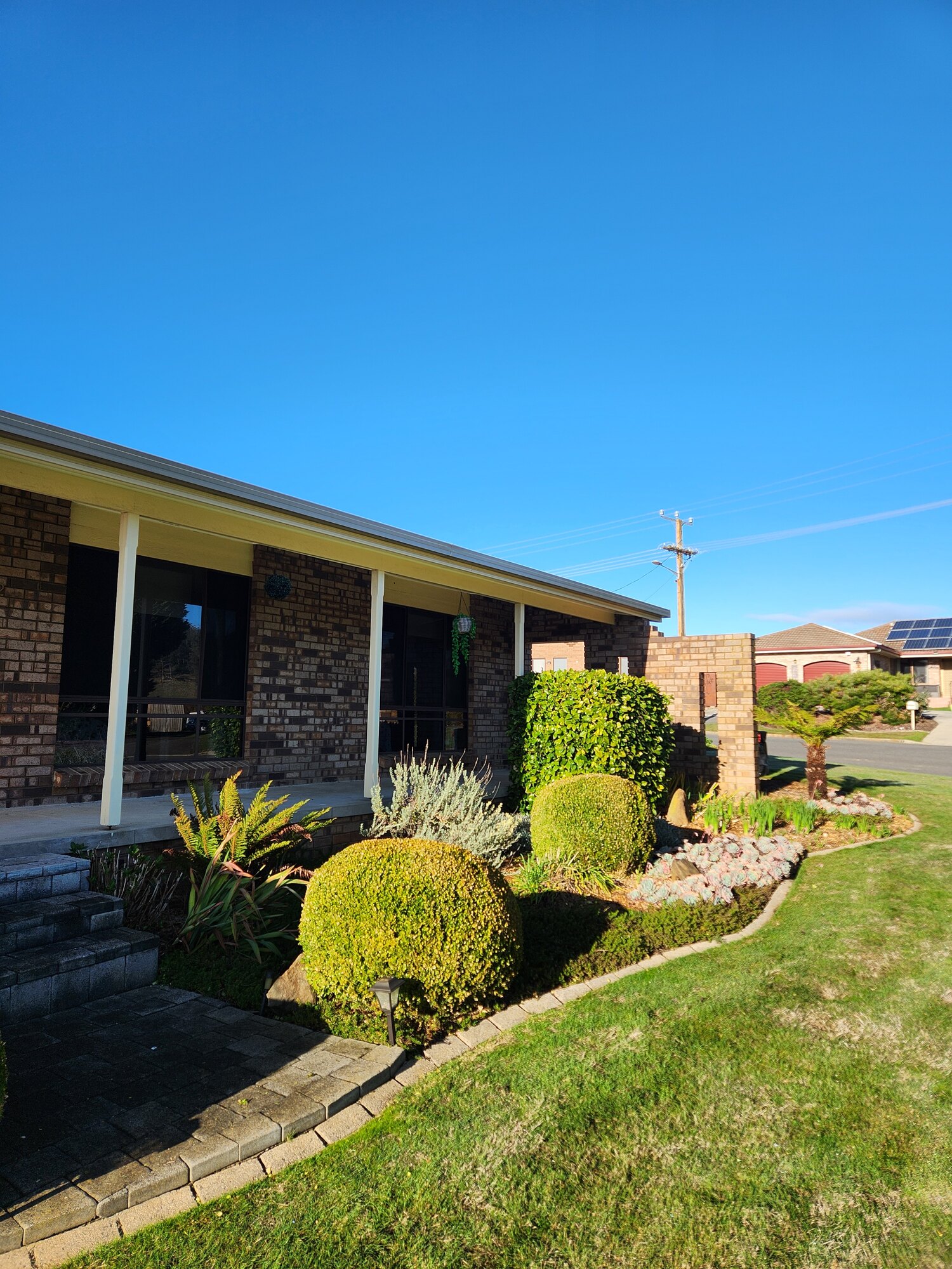 Neatly maintained front garden and shaped hedges in Launceston