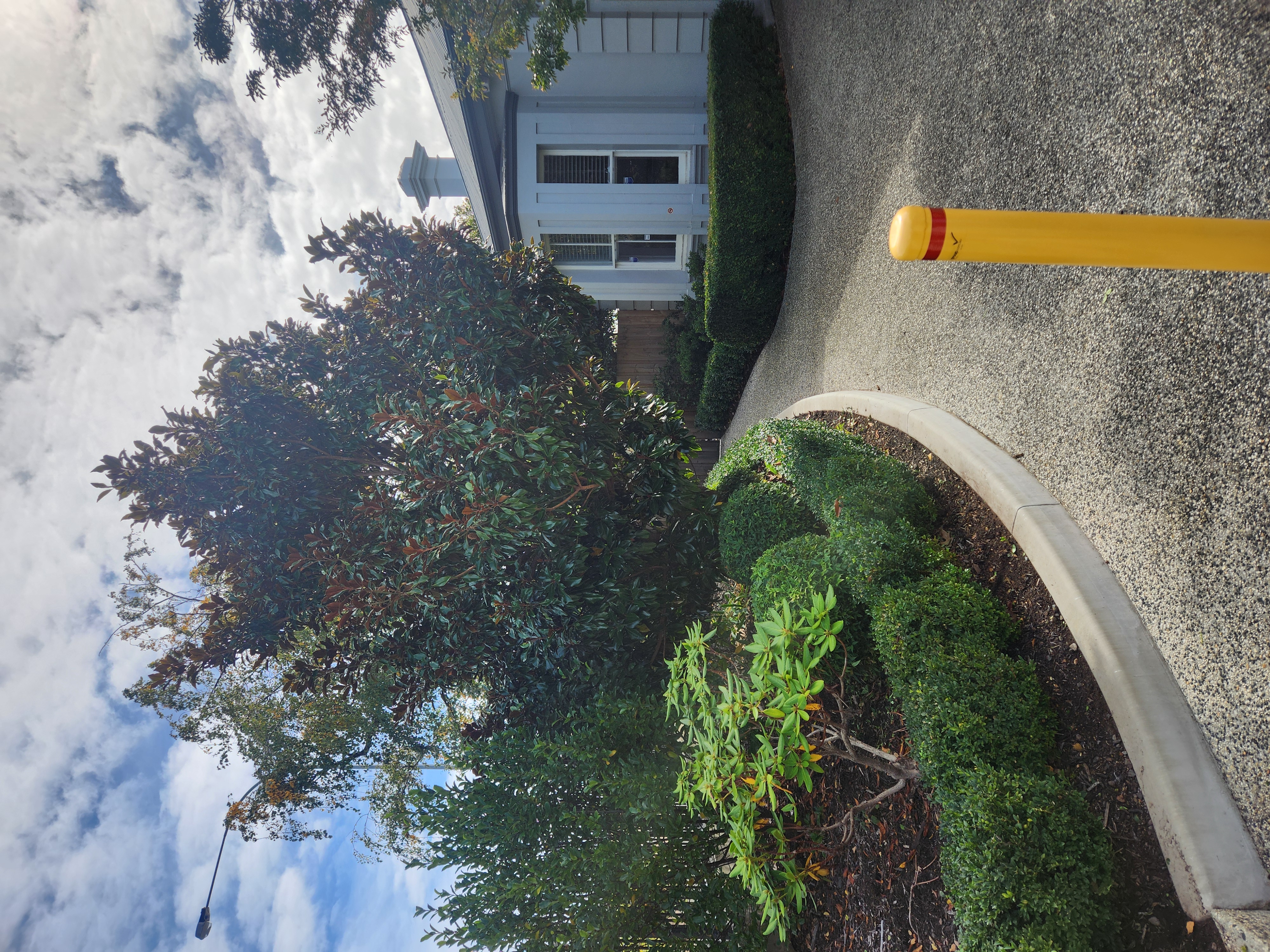 Garden care Launceston Tasmania