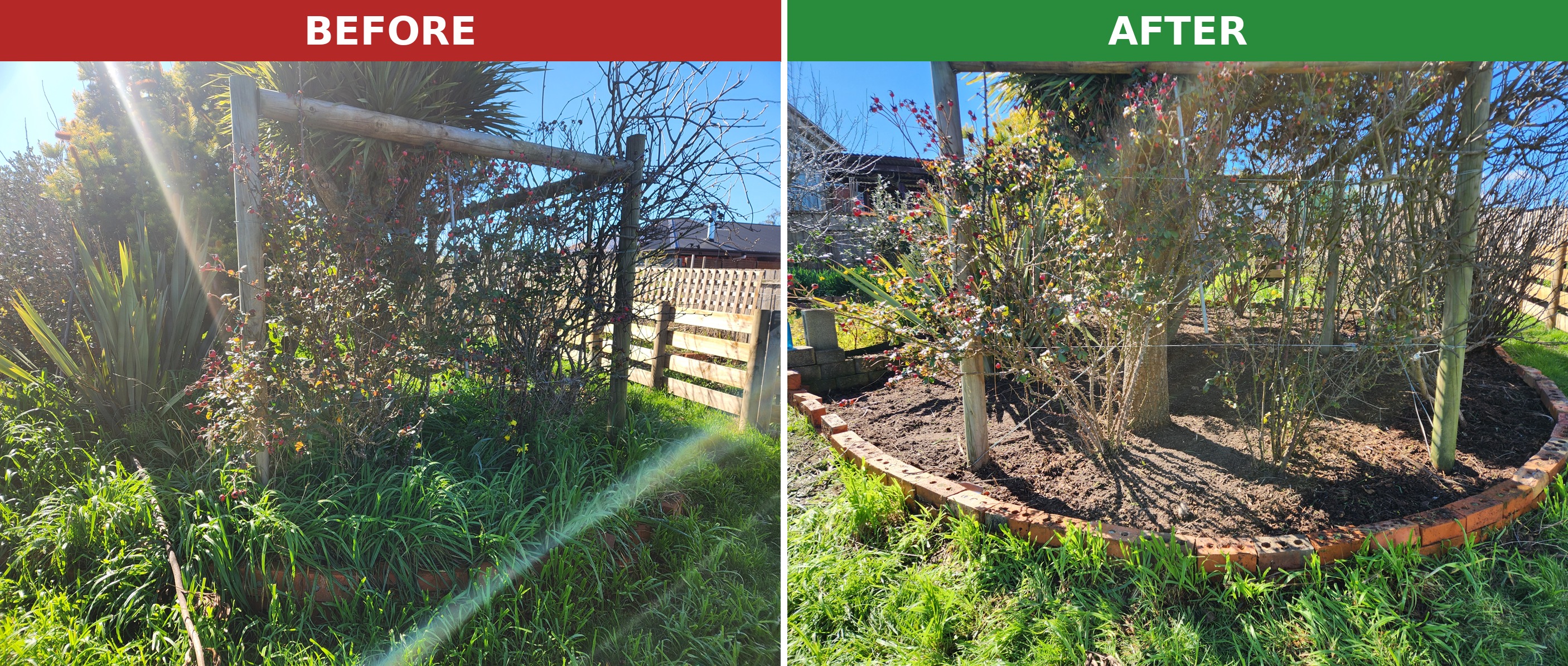 Before and after garden bed weeding and cleanup in Launceston